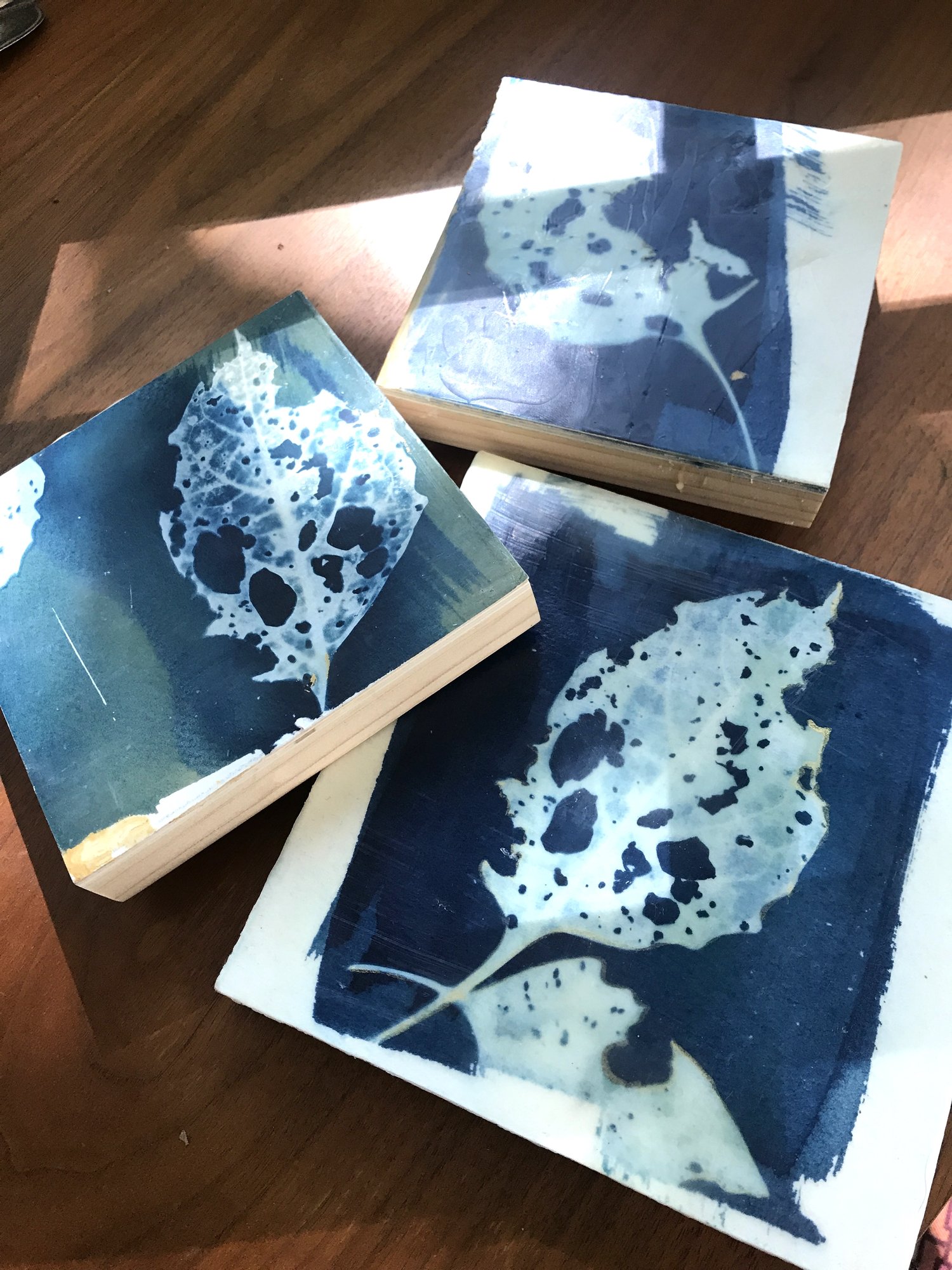 Cyanotype Printmaking & Encaustic Fusion — Truro Center for the Arts at  Castle Hill